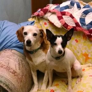 Meet your Posher, Pat